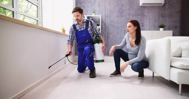 Best Residential Pest Control  in Laurium, MI